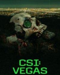 CSI:   